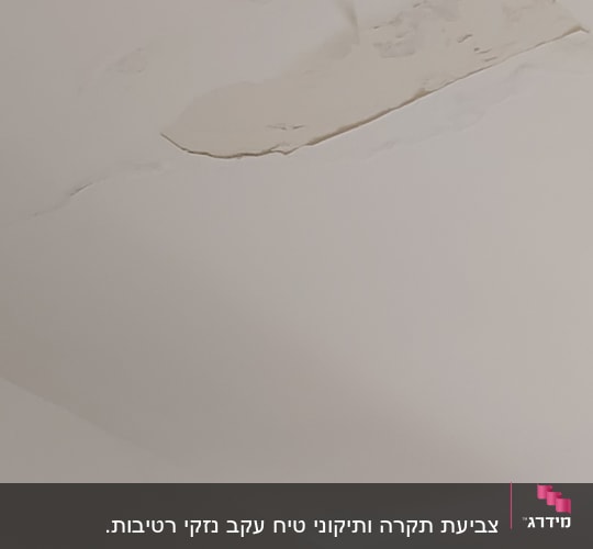תקרה עם קילוף צבע וליקוי טיח